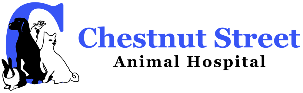 Chestnut Street Animal Hospital Logo
